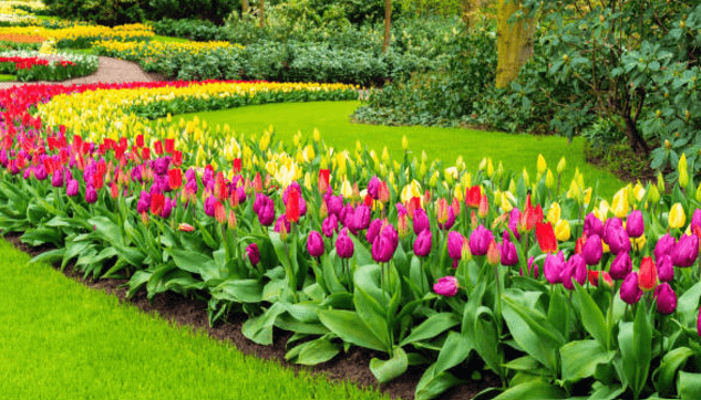 empresa de jardineria en navalcarnero